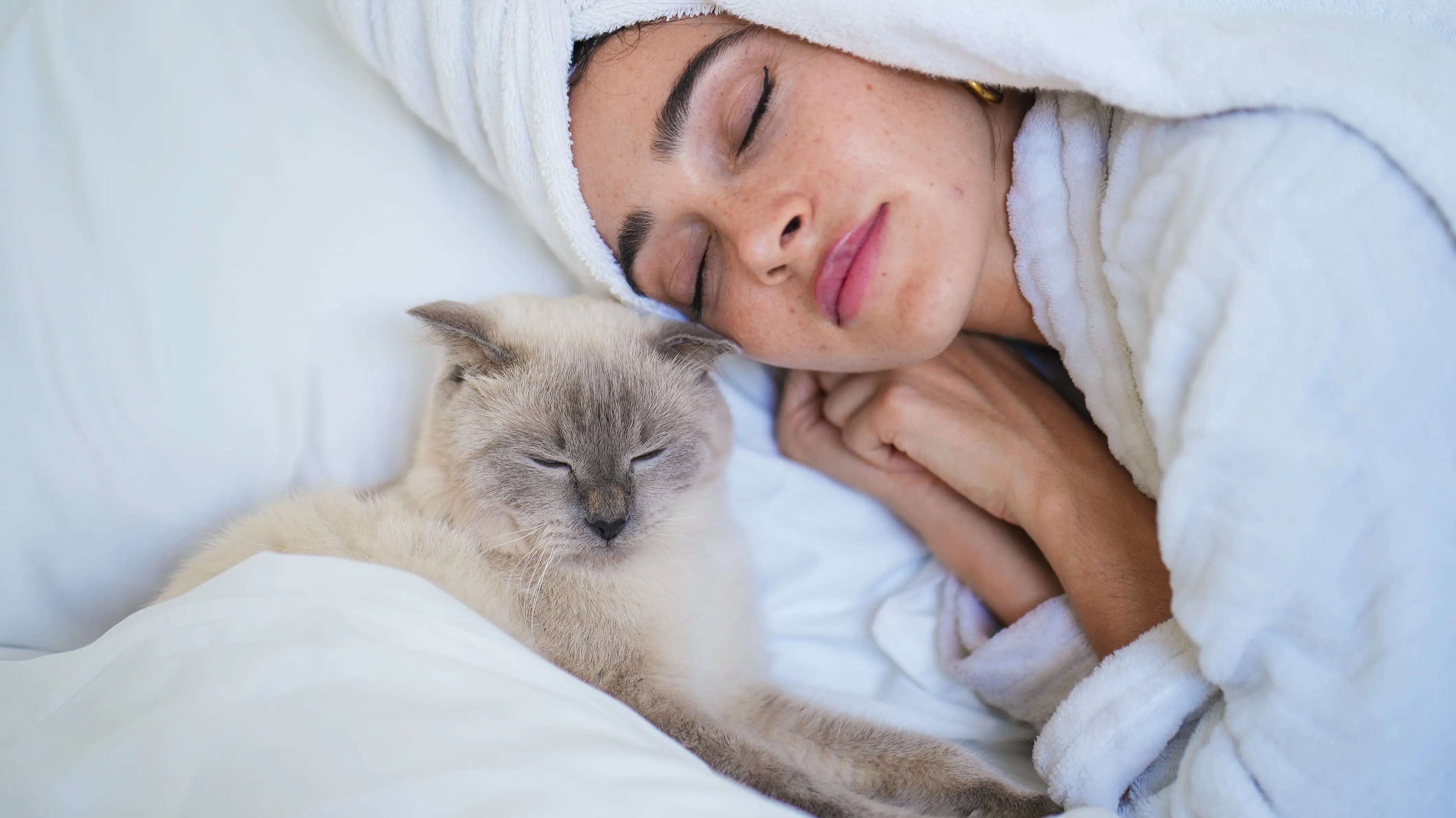 Expert Opinion: Should you co-sleep with your pet? - Furify