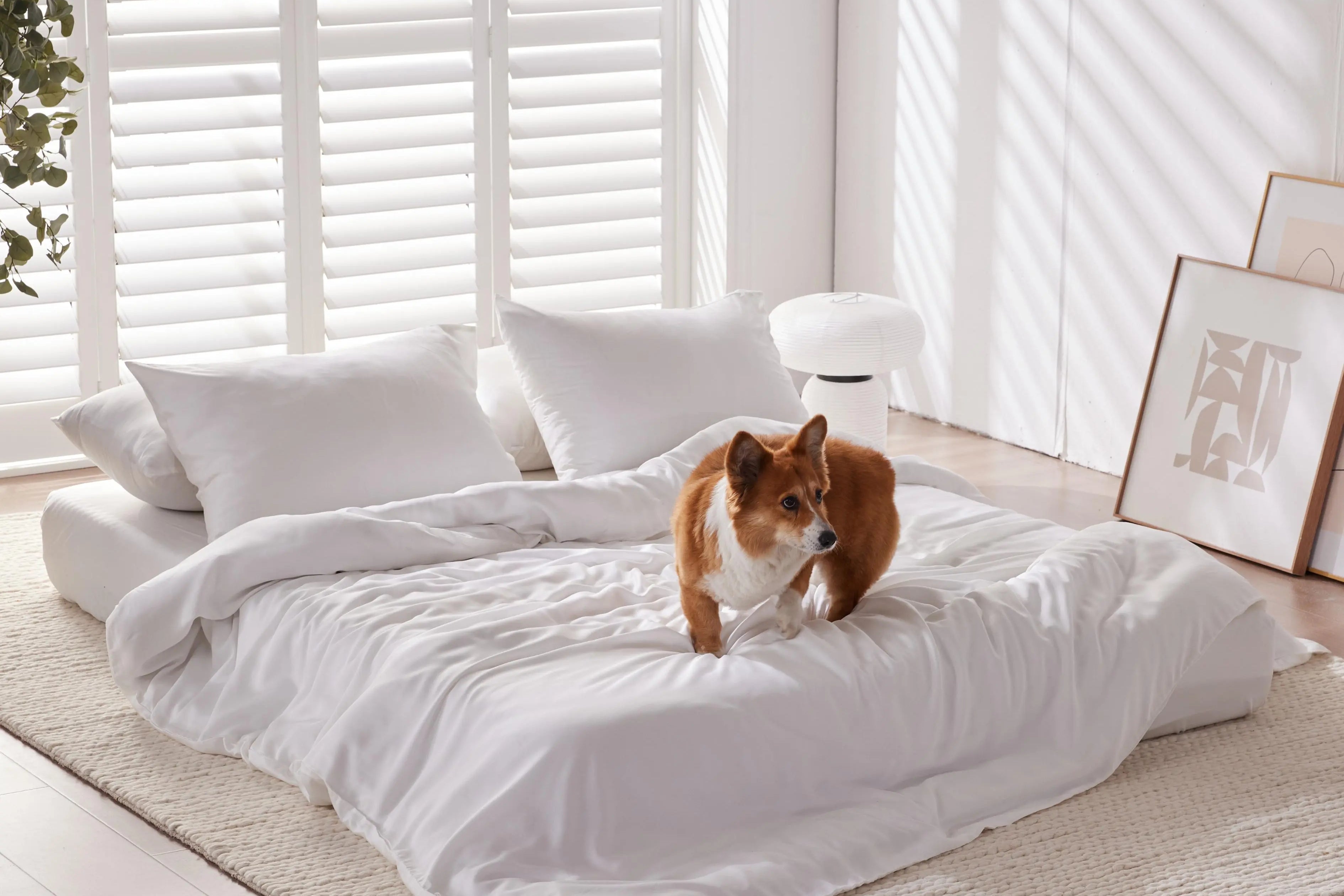 Furify® Pet Hair Resistant, Bamboo Sheet & Duvet Bundle Set