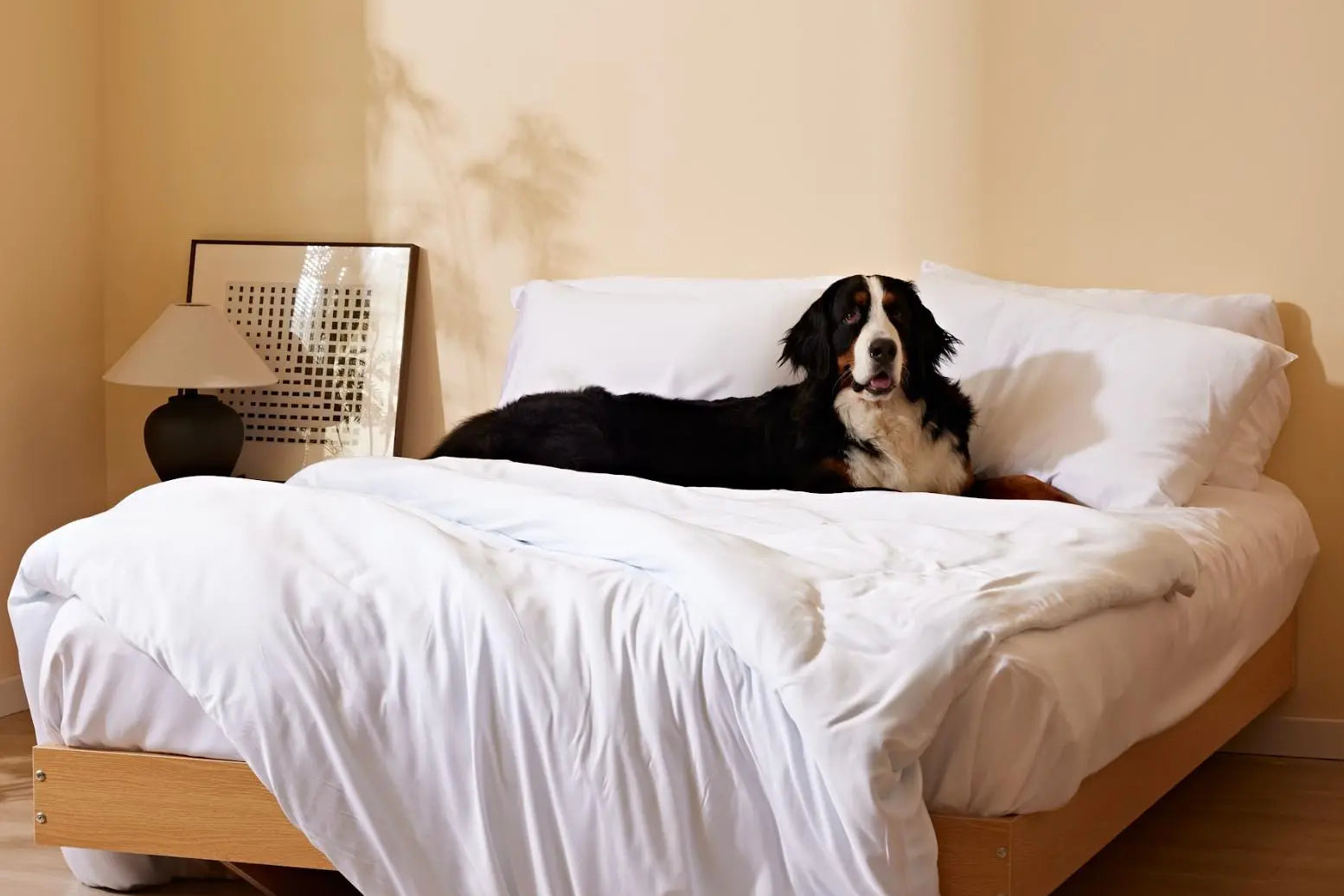 Furify® Pet Hair Resistant, Bamboo Duvet Set