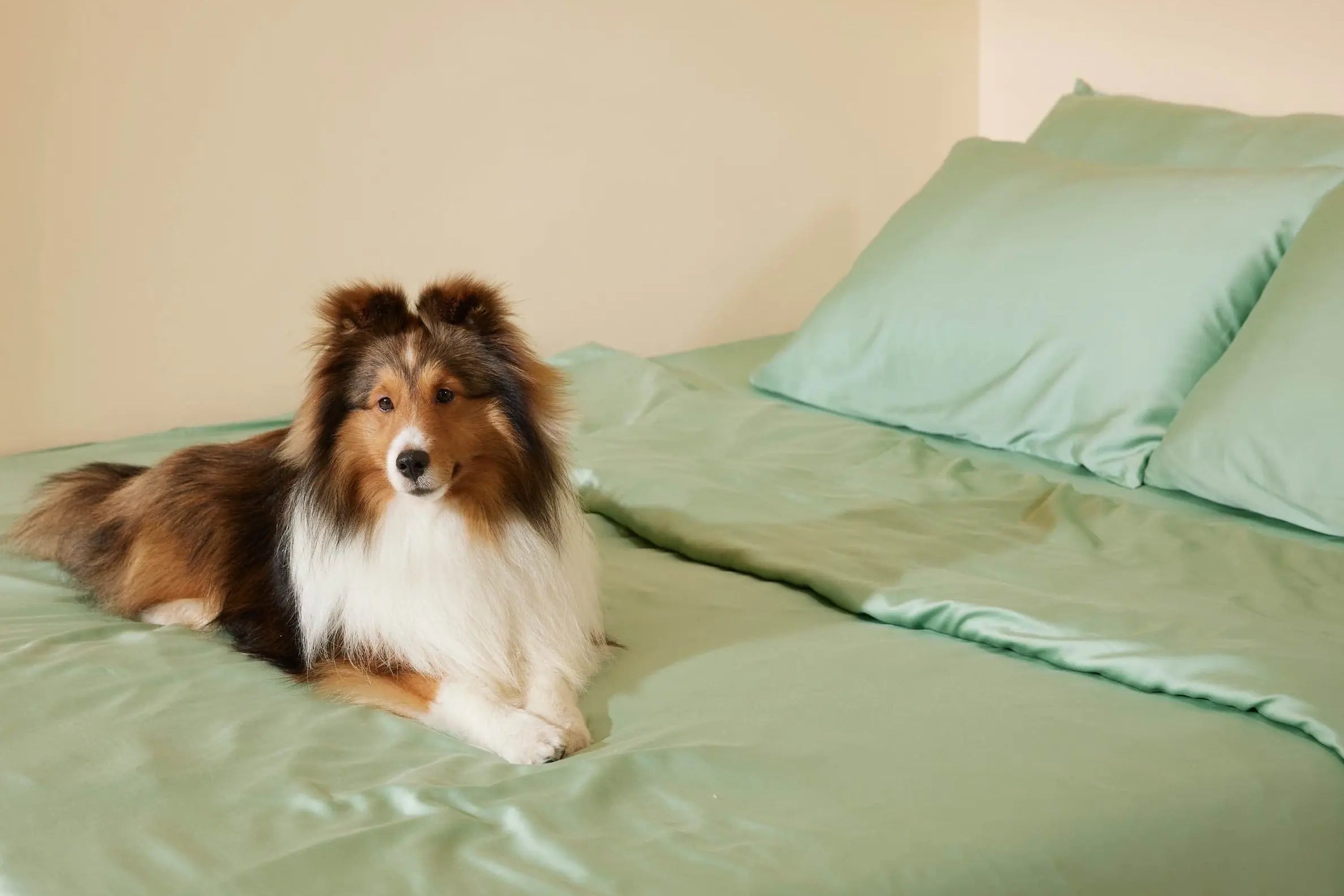 Furify® Pet Hair Resistant, Bamboo Duvet Cover