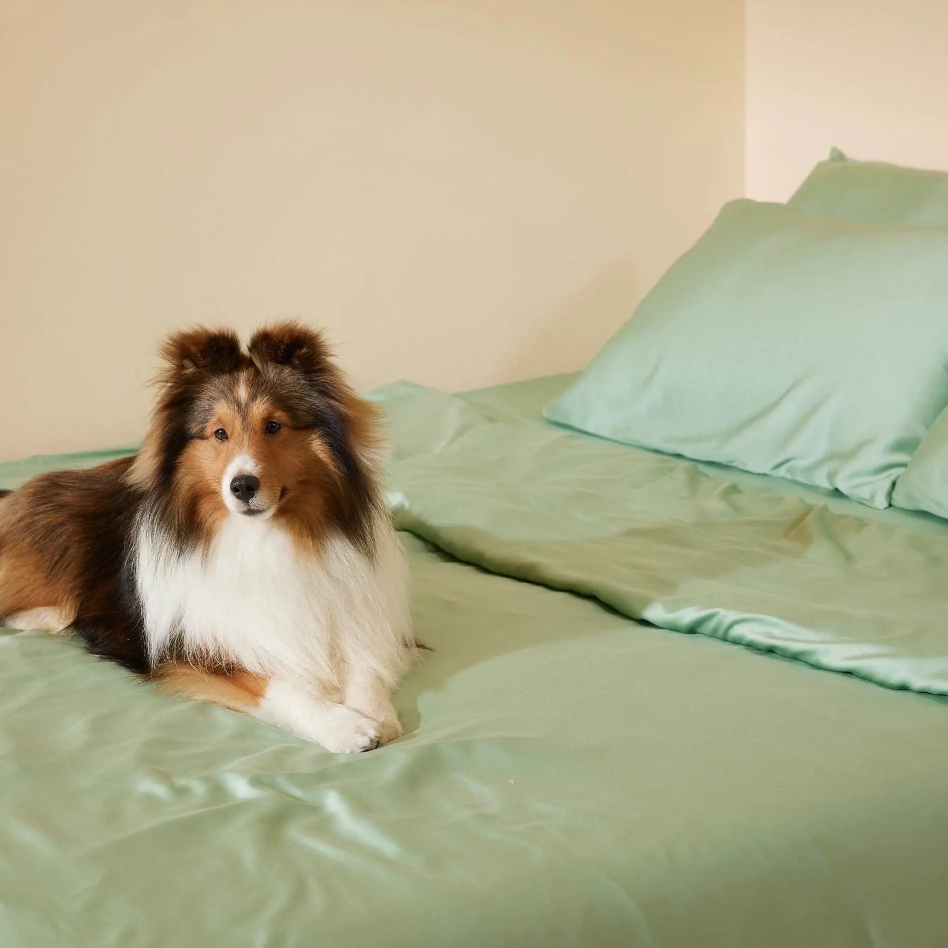 Furify bamboo duvet cover set, photo 6