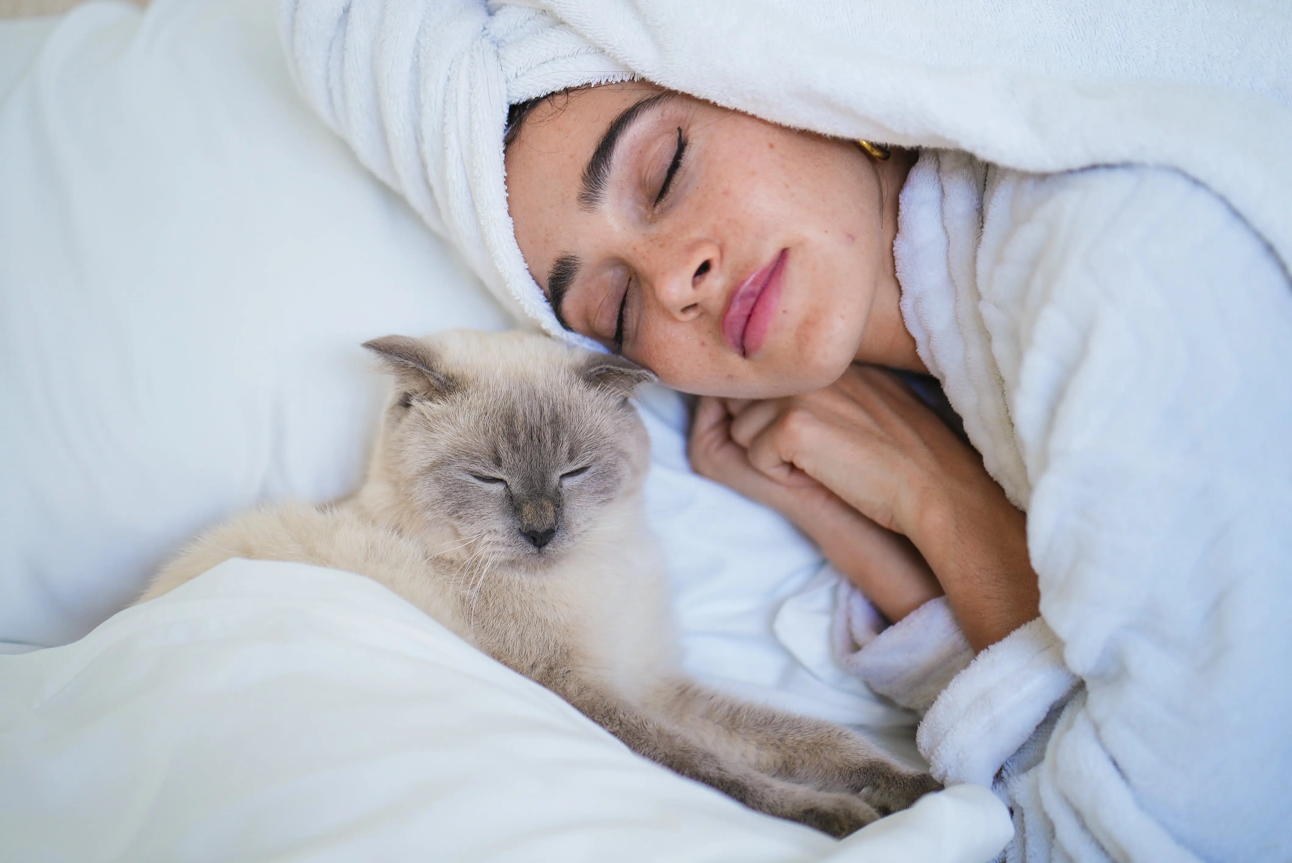 Expert Opinion: Should you co-sleep with your pet? - Furify