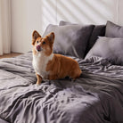 Furify® Pet Hair Resistant, Bamboo Duvet Set