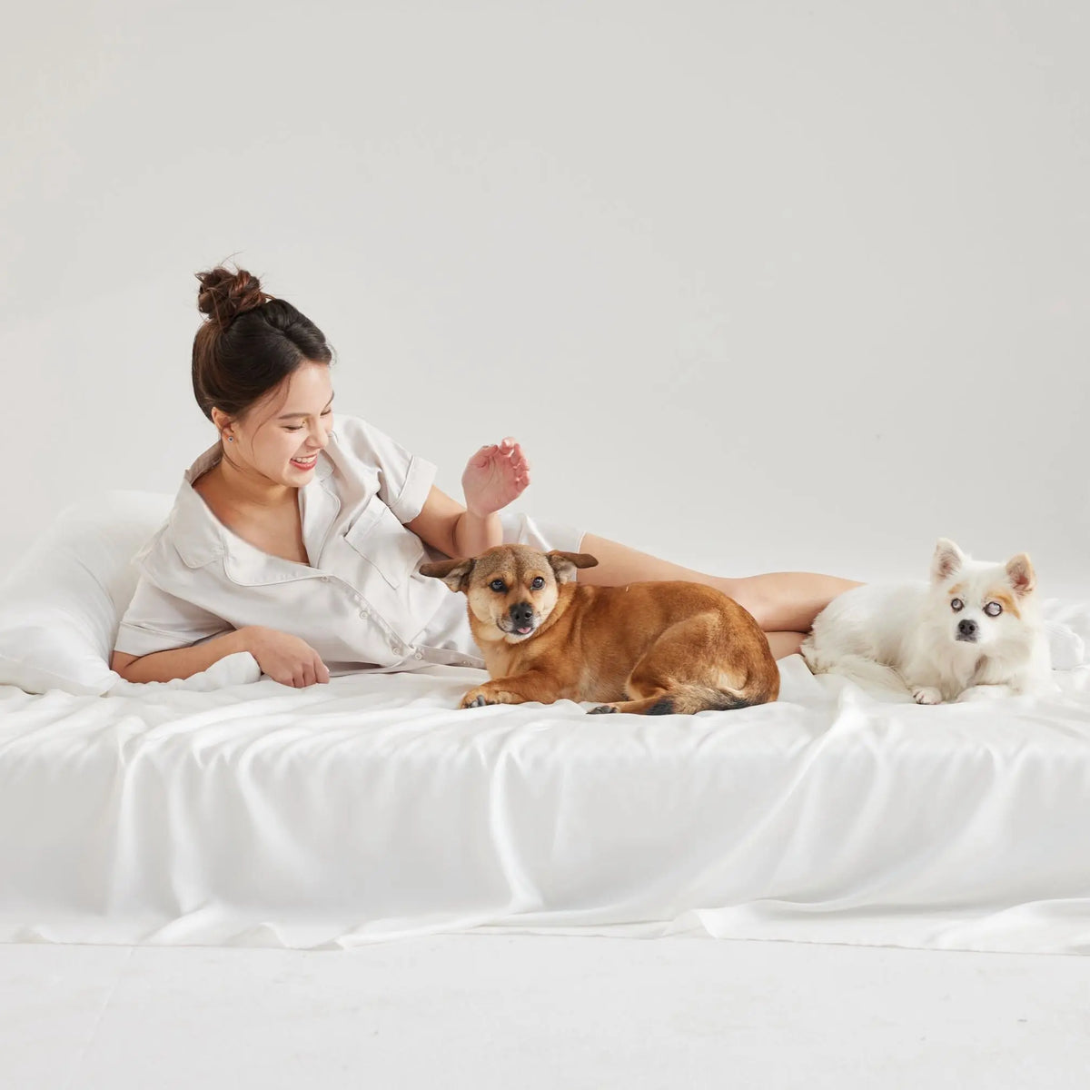 Misty Dove Furify® Pet Hair Resistant Bedding, Anti-microbial, Ultra Soft and Coo