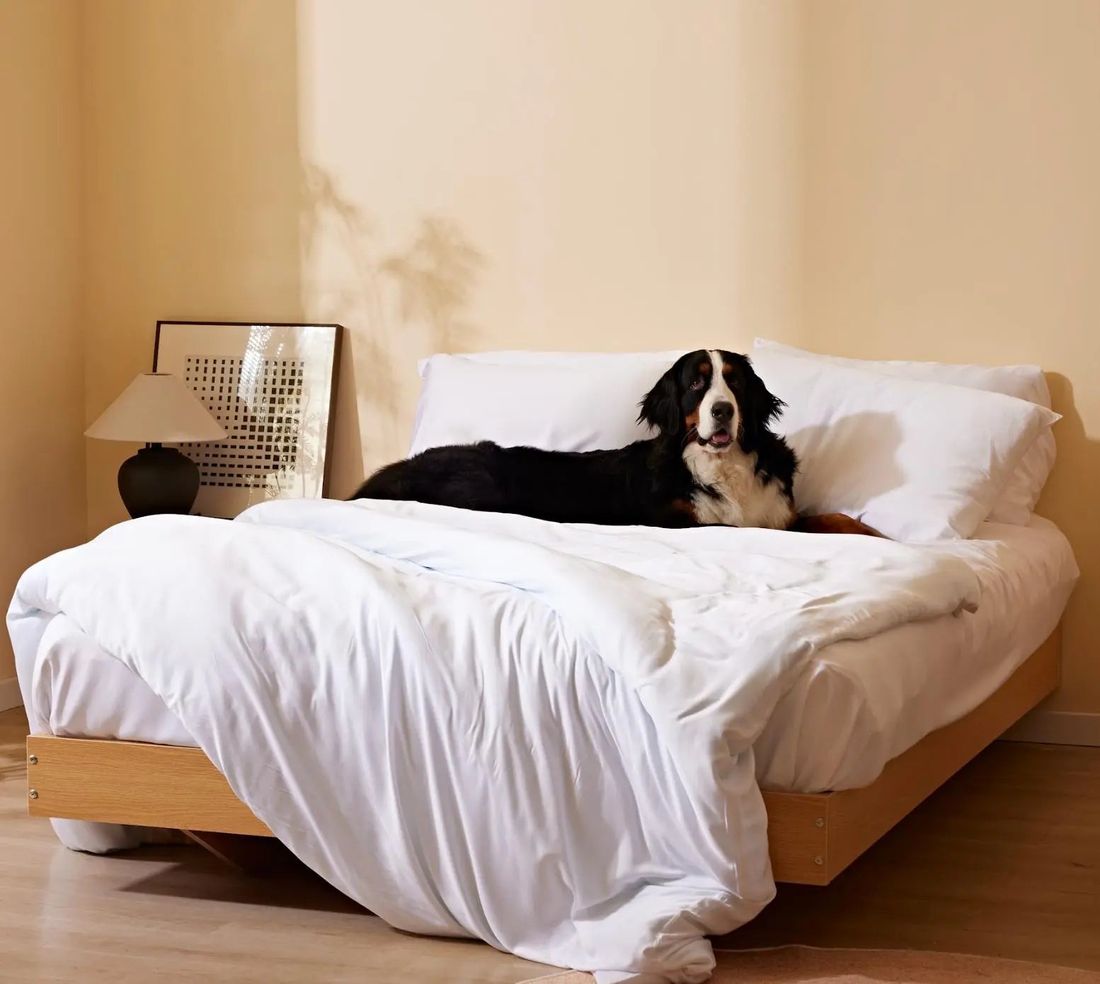 Pet friendly Bamboo Duvet Furify Pet Hair Resistant