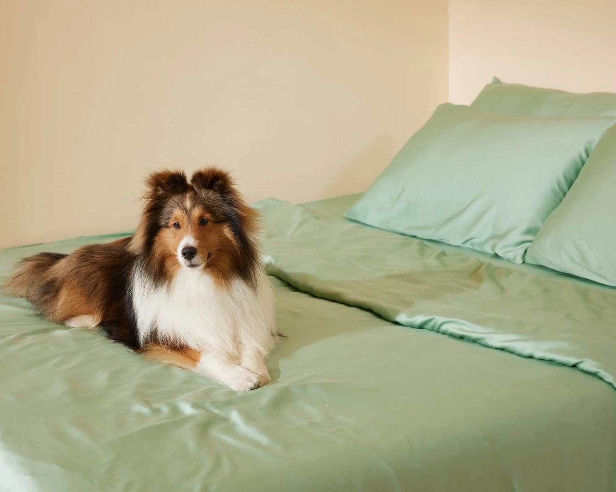 Furify® Pet Hair Resistant Bedding, Anti-microbial, Ultra Soft and Coo